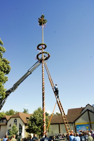 dsc2622-1