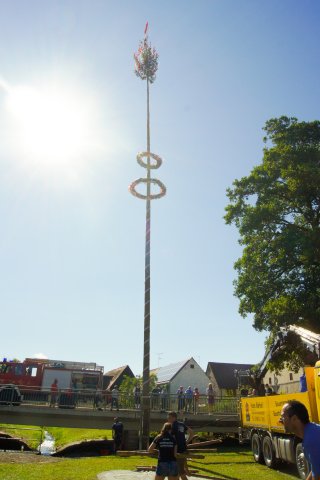 dsc2628-1